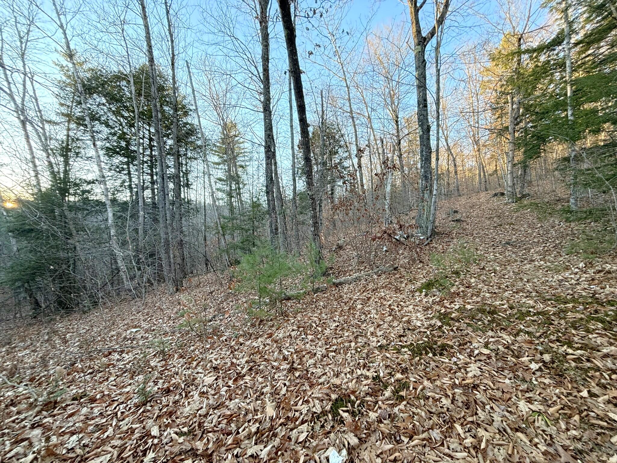 0 Canton Mountain Road Canton ME 04221