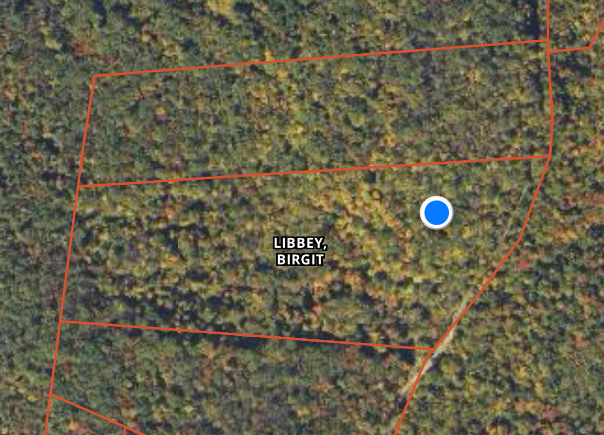 0 Canton Mountain Road Canton ME 04221