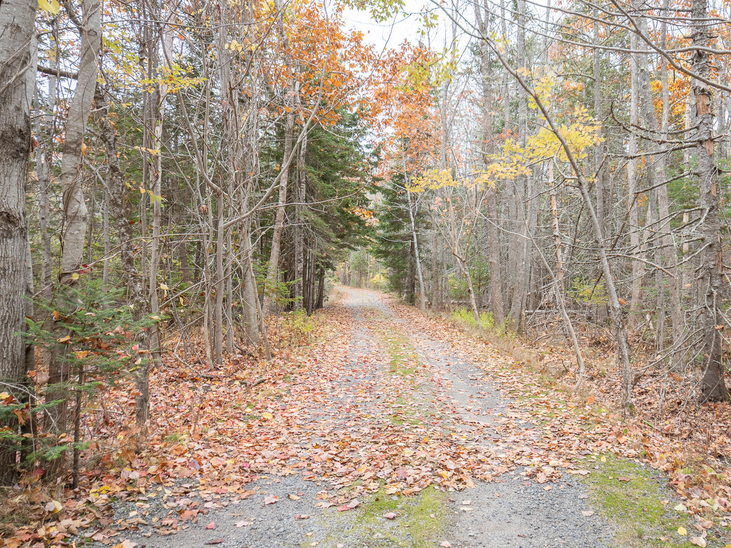 71 Bay View Drive Bar Harbor ME 04609