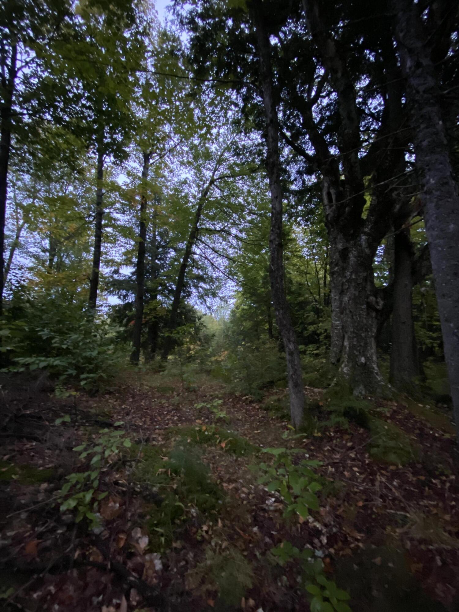 113 Brown Hill Road Anson ME 04911