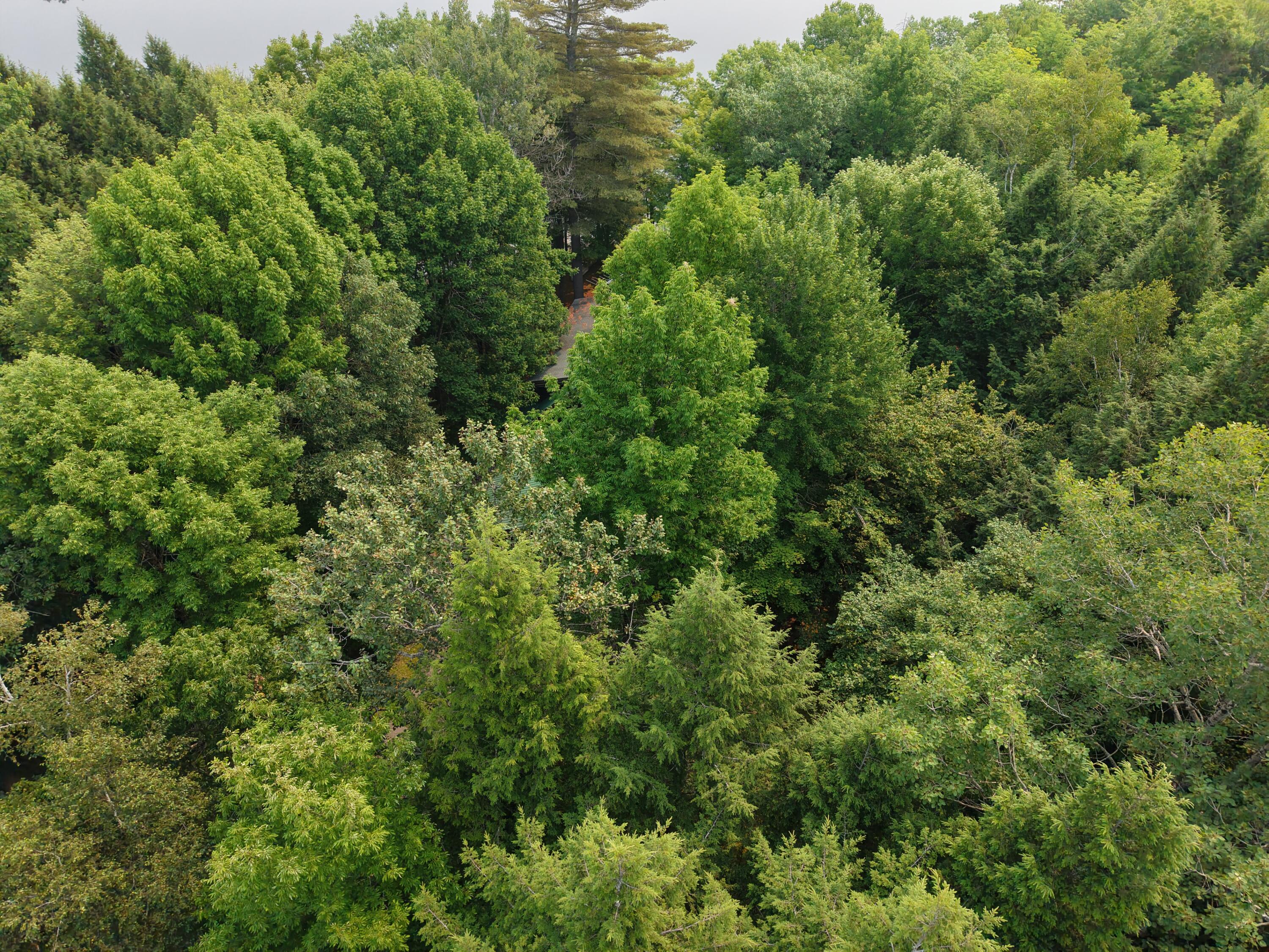 1469 Kennebec River Road Concord Twp ME 04920