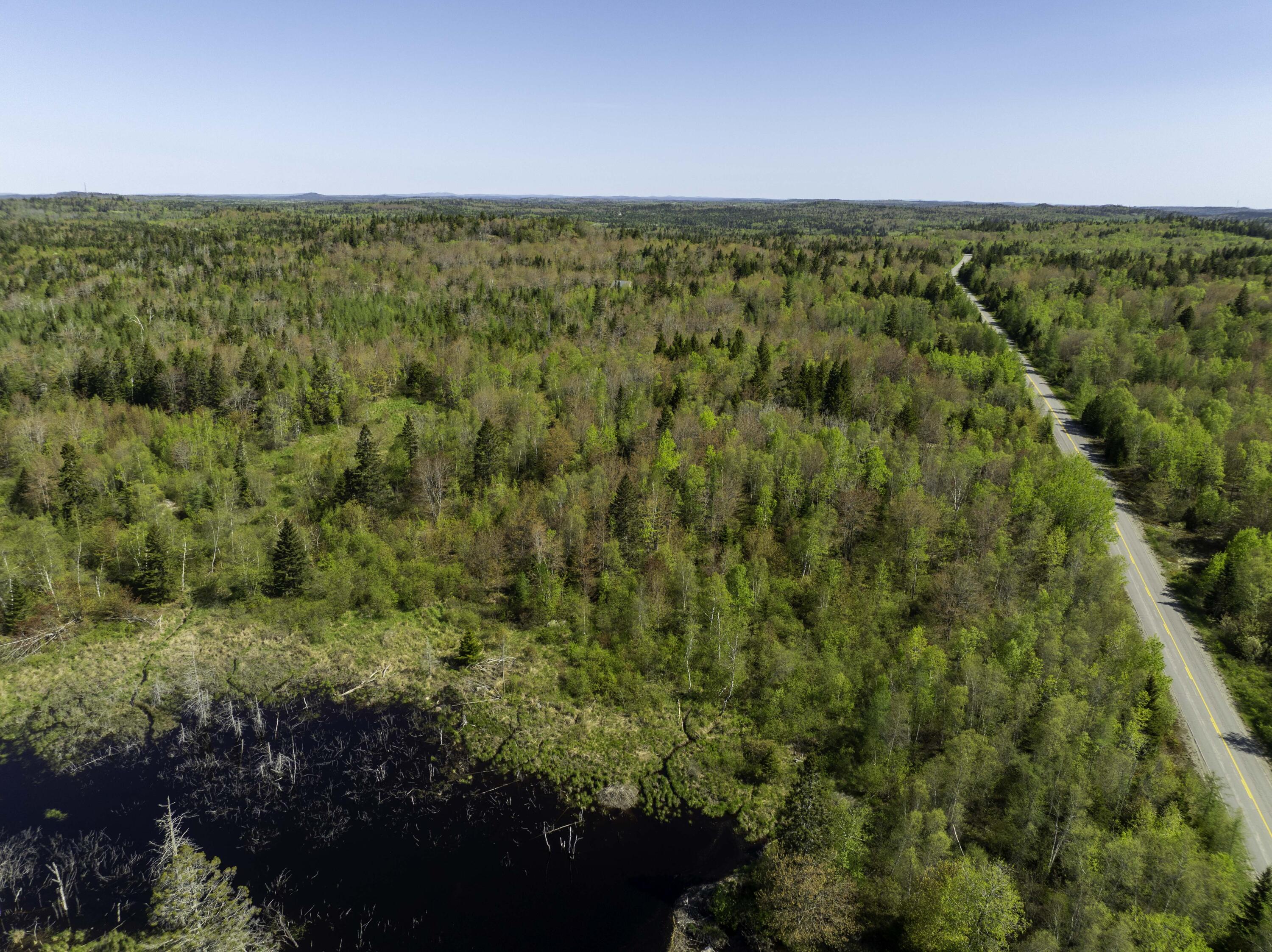 10 & 2 Bog Brook Way Cutler ME 04626