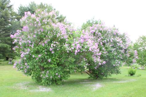 365 Garfield Road Garfield ME 04732