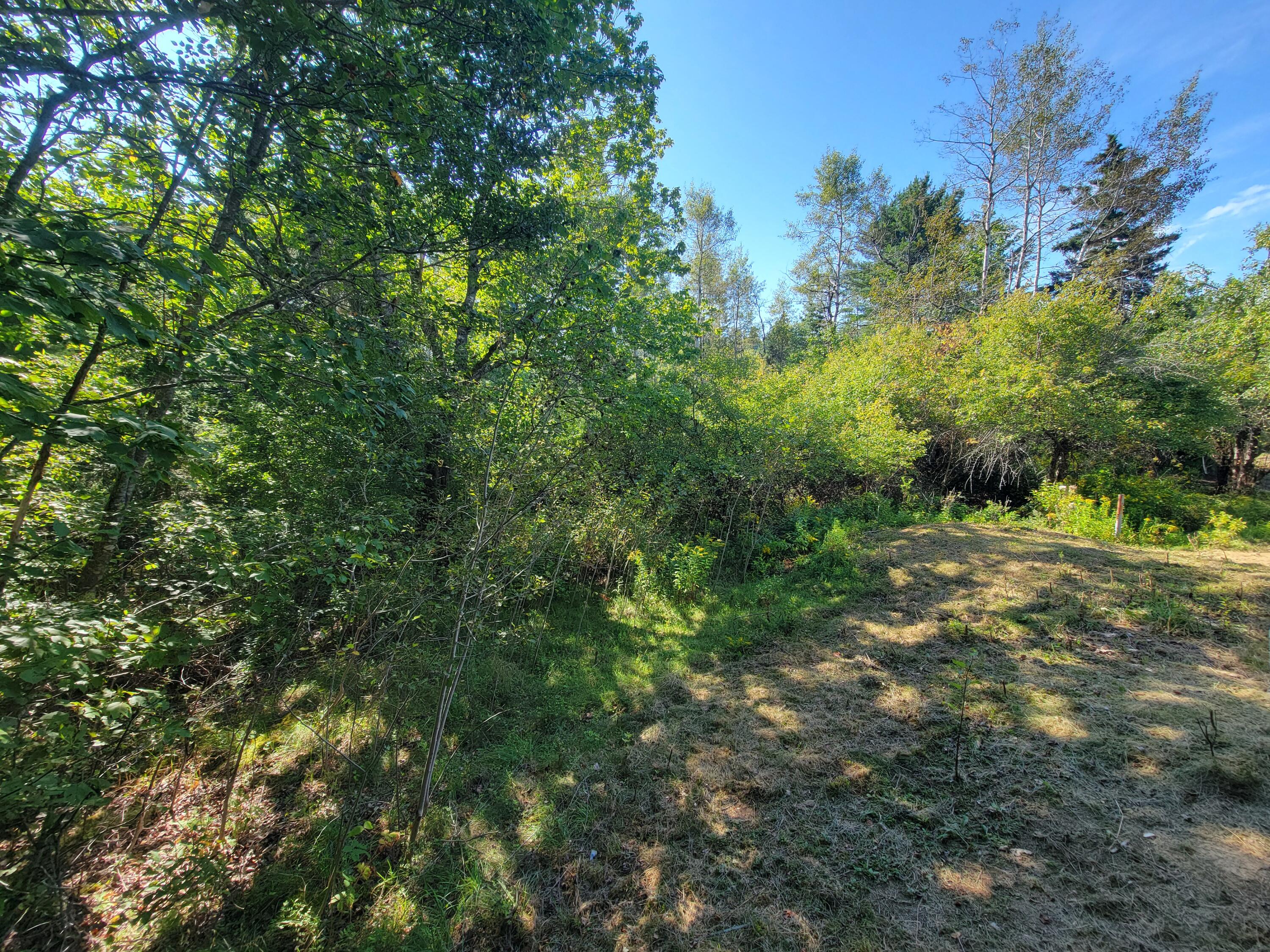 965 S River Road Calais ME 04619