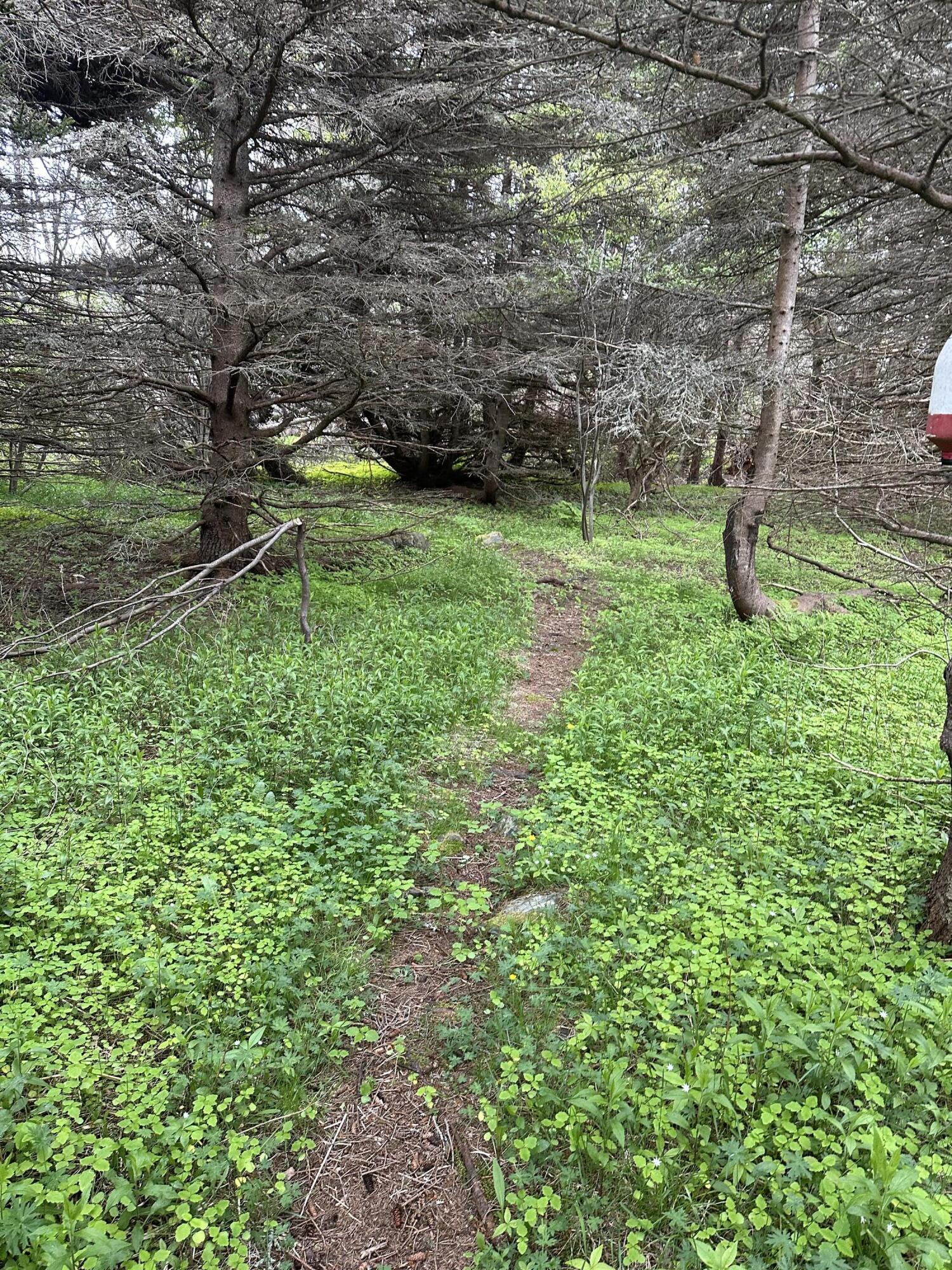 87 North Road Matinicus Isle Plt ME 04851