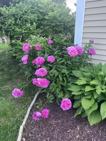 360 Cushing Road Friendship ME 04547