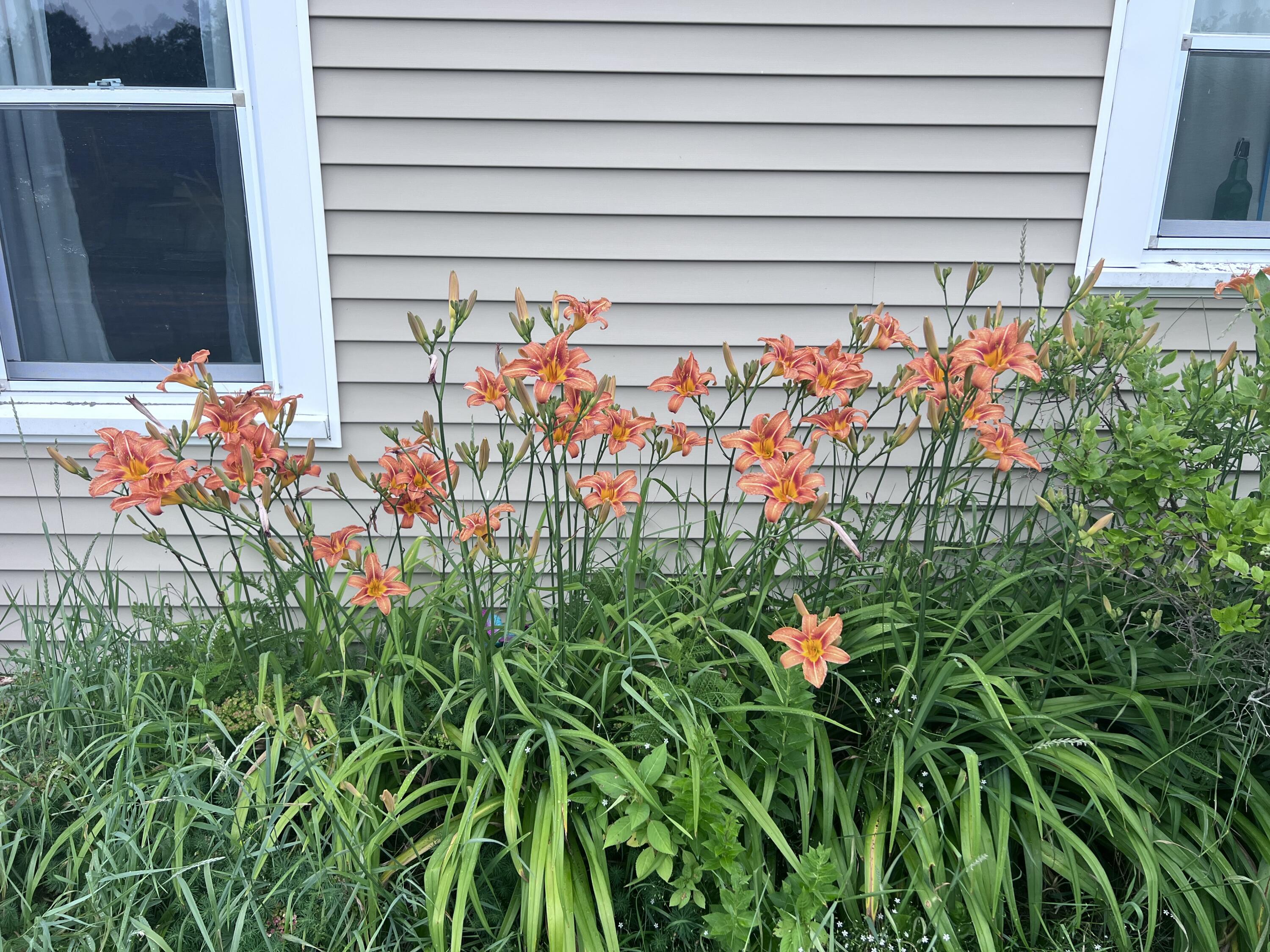 360 Cushing Road Friendship ME 04547