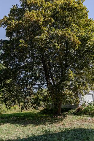 40 Pendleton Street Brewer ME 04412