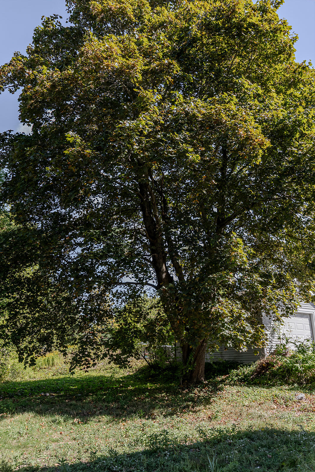 40 Pendleton Street Brewer ME 04412