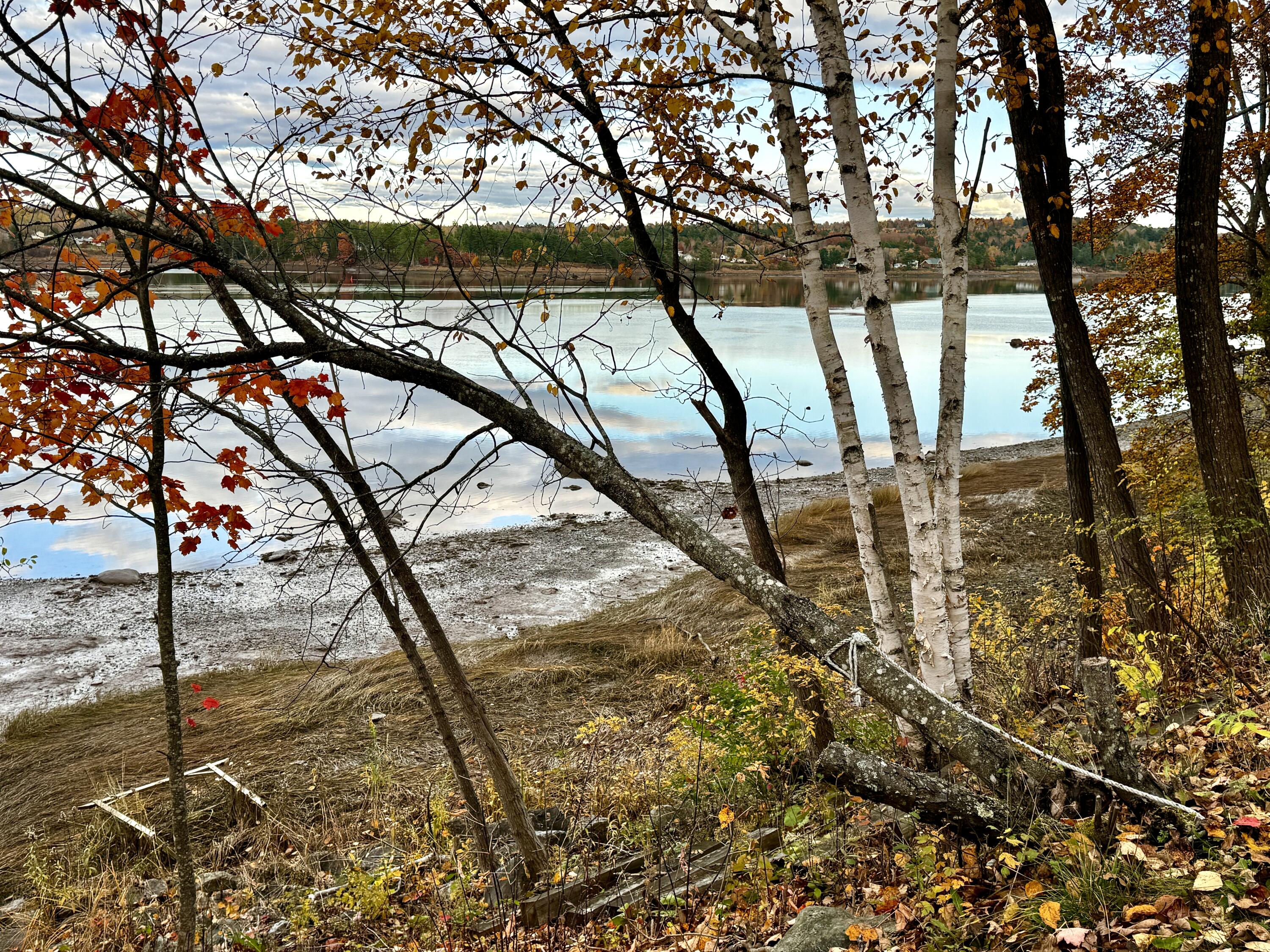 704 Main Street Calais ME 04619