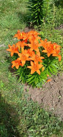 391 River Road Orrington ME 04474