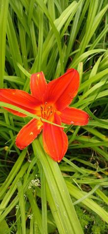 391 River Road Orrington ME 04474