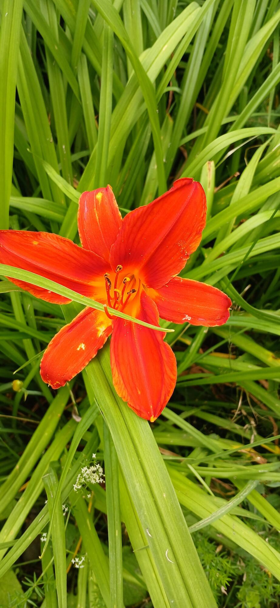 391 River Road Orrington ME 04474