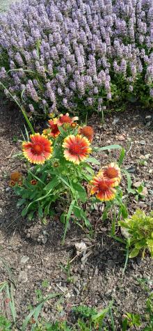 391 River Road Orrington ME 04474