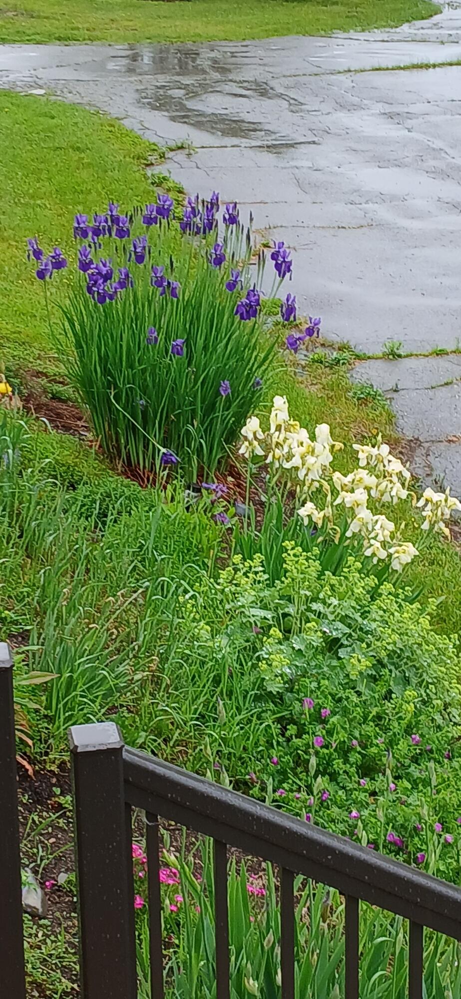 391 River Road Orrington ME 04474