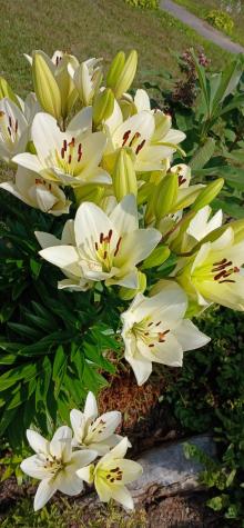 391 River Road Orrington ME 04474