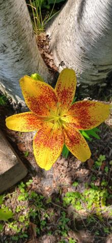 391 River Road Orrington ME 04474