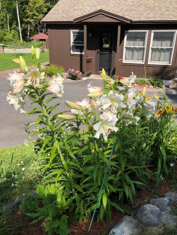 30 Elliott Way Waterford ME 04088