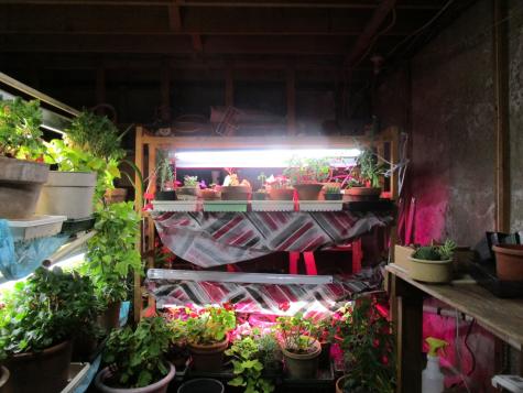 146 East Main Street Paris ME 04281