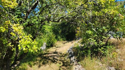 38 Bay Road Jonesboro ME 04648