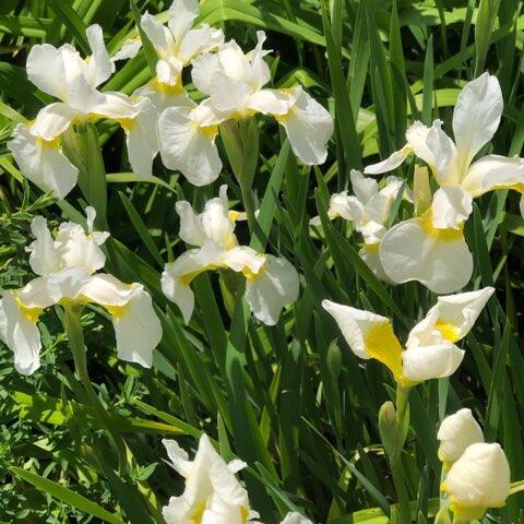 42 Buchanan Street South Portland ME 04106