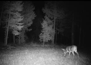 Tbd Woodville Road Chester ME 04457