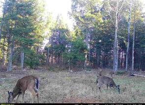 Tbd Woodville Road Chester ME 04457