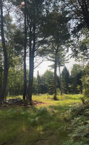 Tbd Woodville Road Chester ME 04457