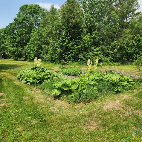485 Main Road Passadumkeag ME 04475