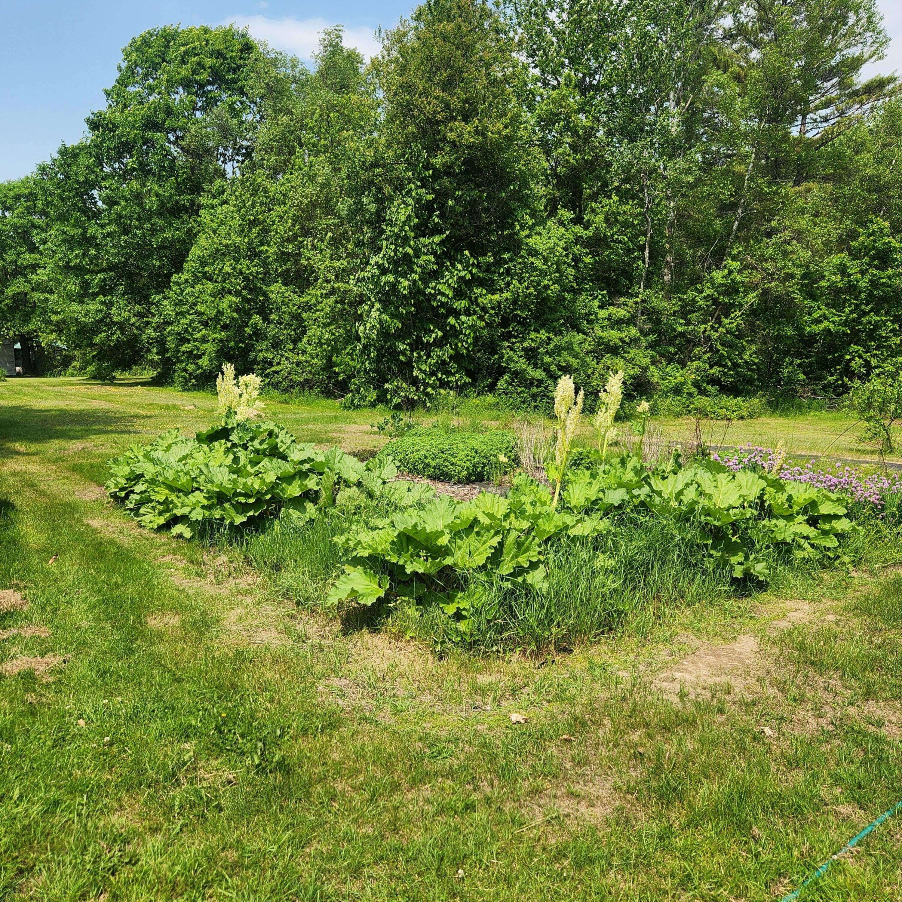 485 Main Road Passadumkeag ME 04475