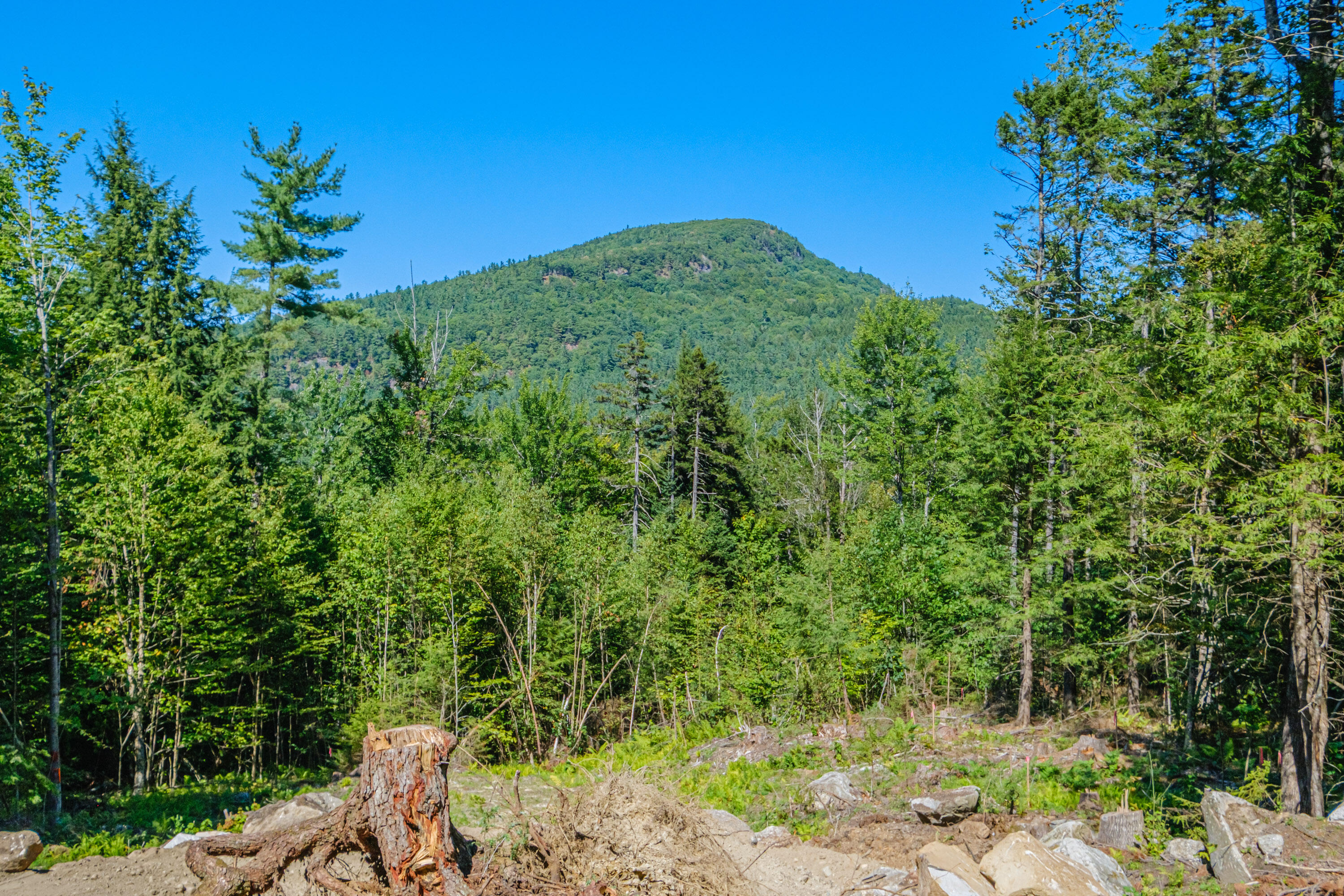 2 Look A Moose Drive Bethel ME 04217