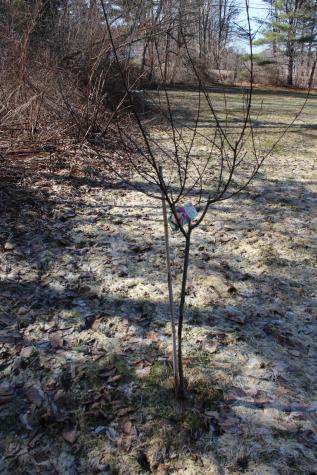 247 S Belfast Avenue Augusta ME 04330