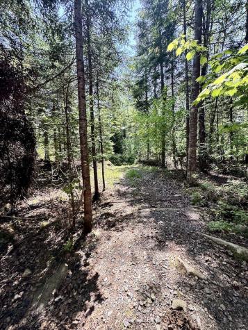 133 Camp Waya-awi Road Rangeley ME 04970