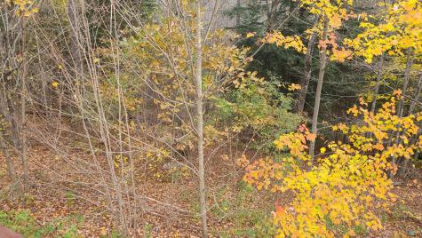 81 Bryant Road Buckfield ME 04220