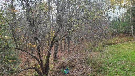 81 Bryant Road Buckfield ME 04220