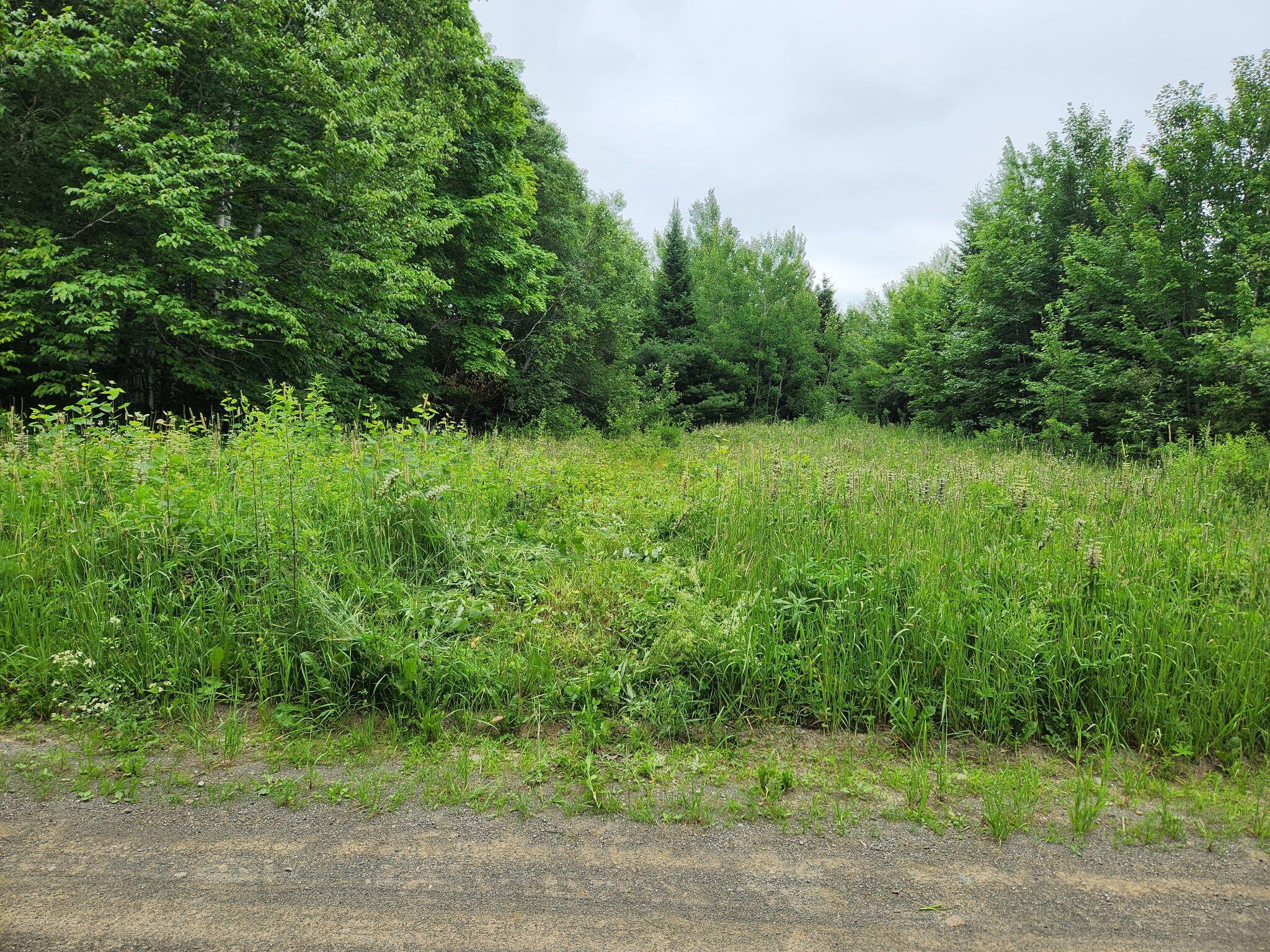 1241 Wrightville Road Ashland ME 04732