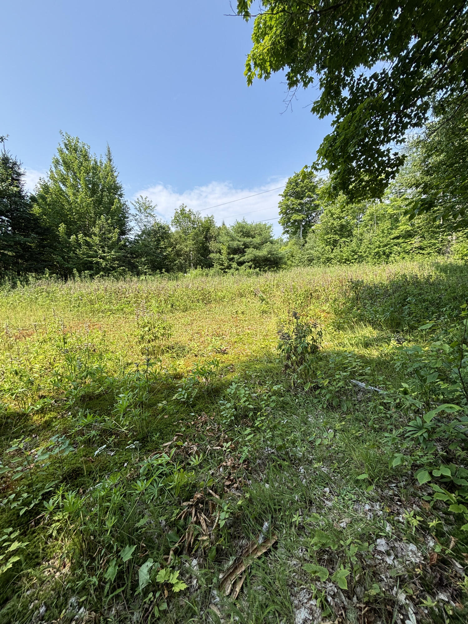 1241 Wrightville Road Ashland ME 04732