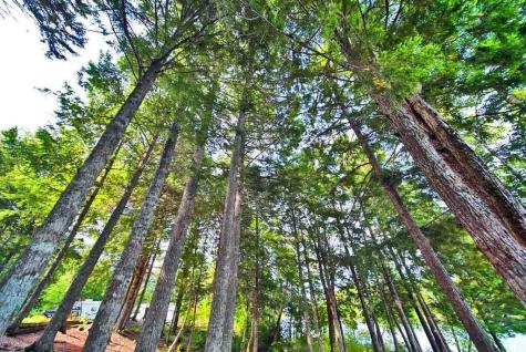 638 Sandy Beach Road Danforth ME 04424