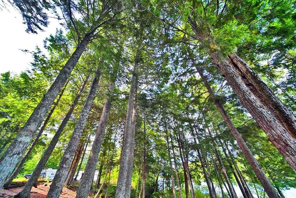 638 Sandy Beach Road Danforth ME 04424