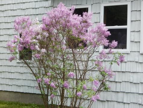 25 Busque Boulevard Standish ME 04084