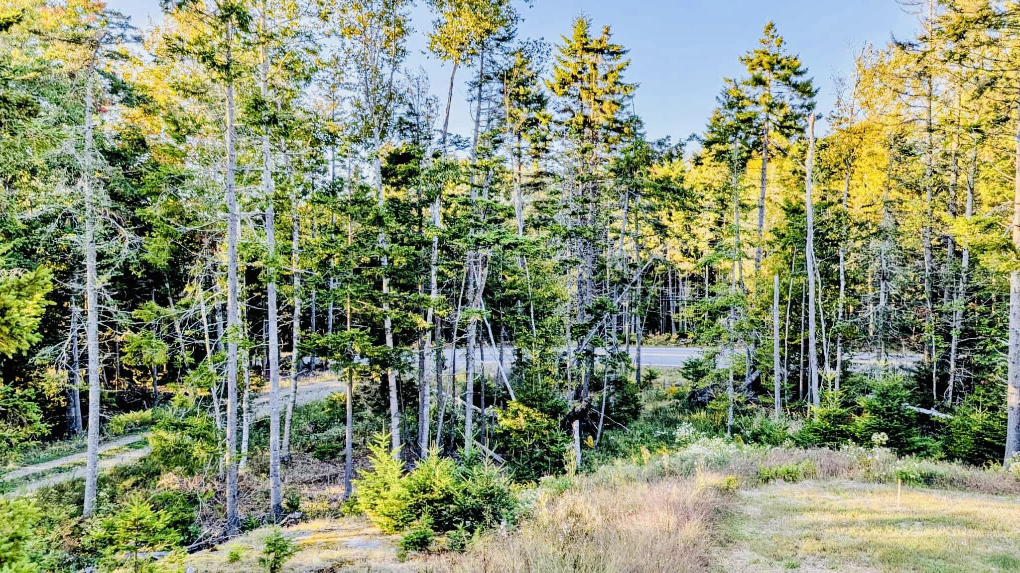 643 Sunset Road Deer Isle ME 04627