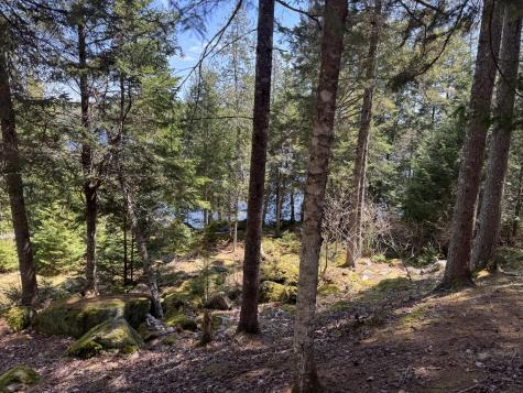 279 Carry Ridge Road Northfield ME 04654