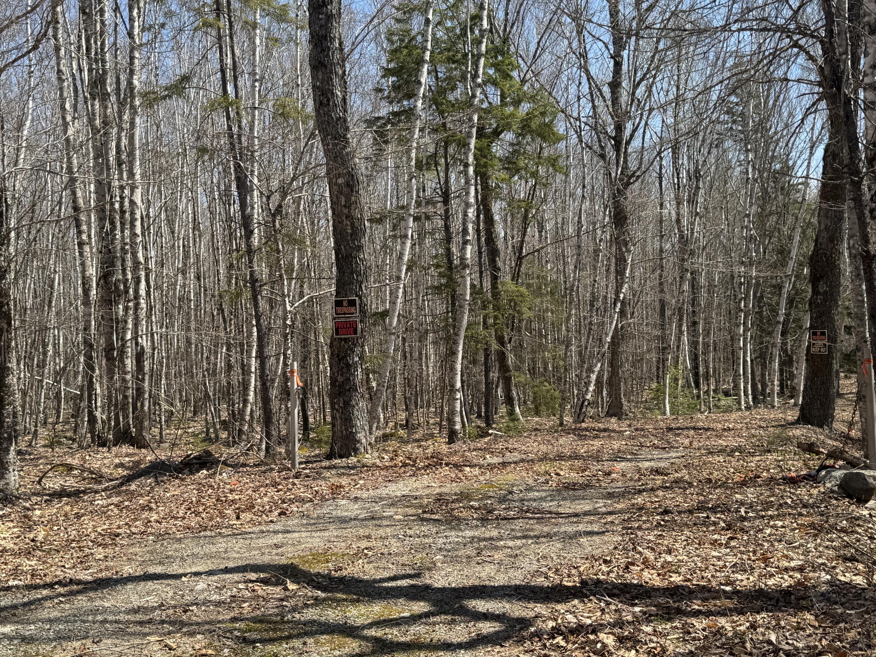 279 Carry Ridge Road Northfield ME 04654