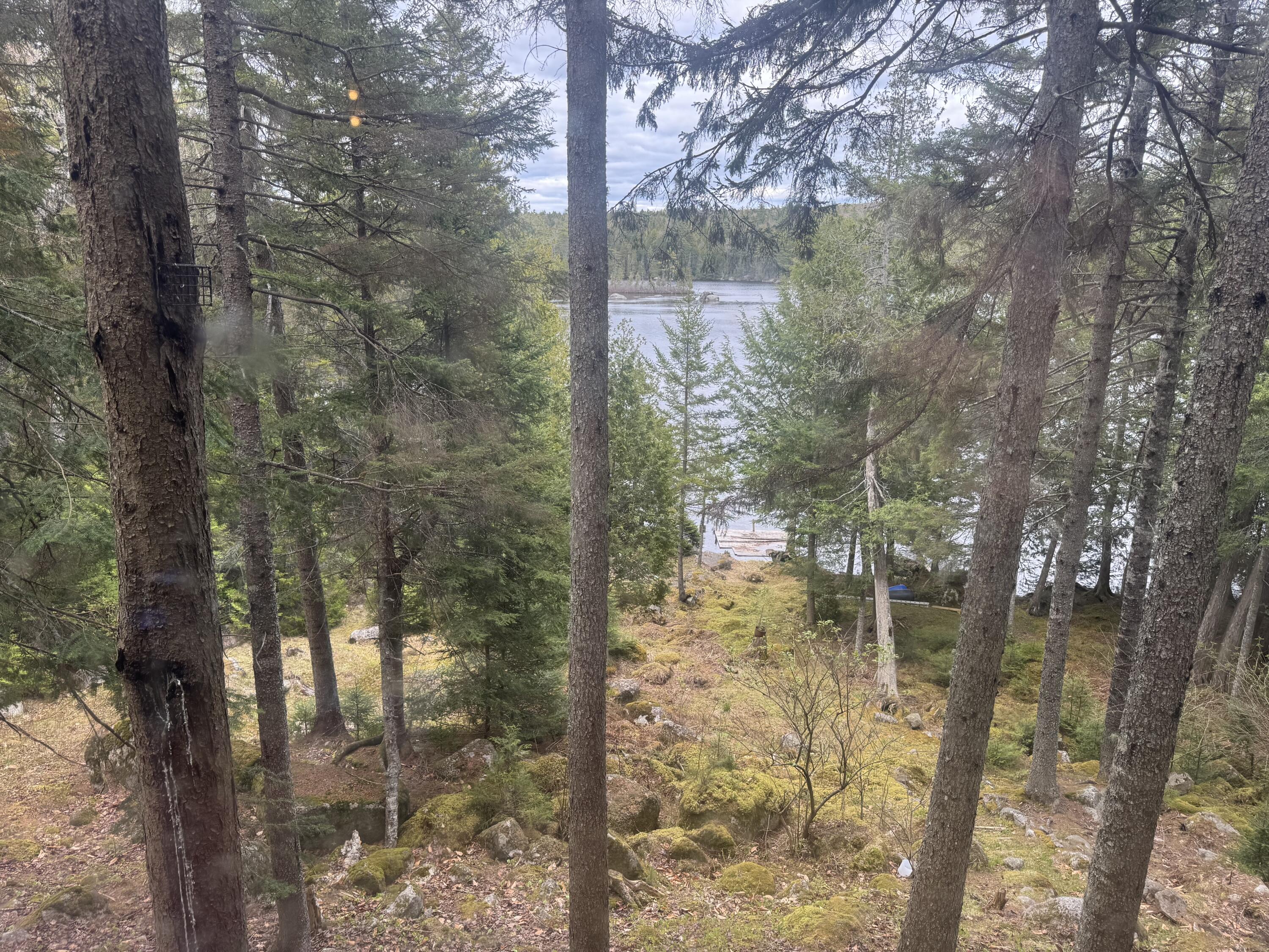 279 Carry Ridge Road Northfield ME 04654