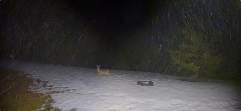 5 Coltons Way Saco ME 04072