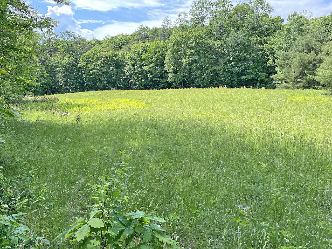 306 Golden Ridge Road Alna ME 04535