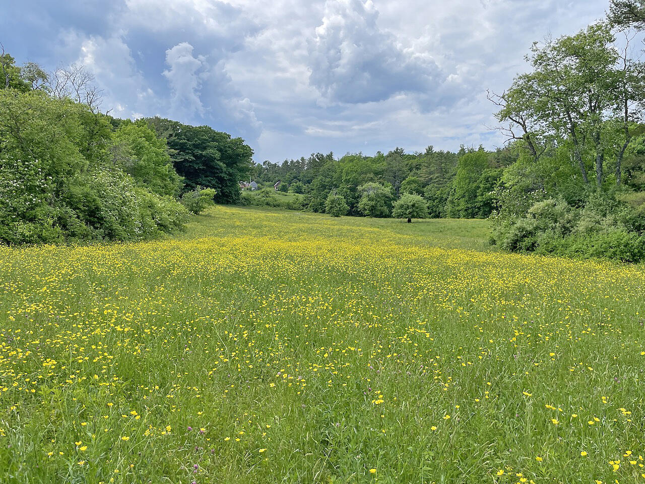 306 Golden Ridge Road Alna ME 04535