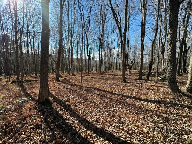 801 Bog Road New Portland ME 04961