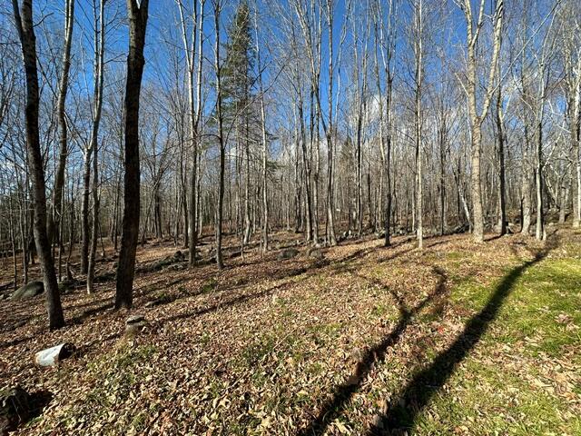 801 Bog Road New Portland ME 04961