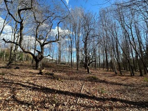 801 Bog Road New Portland ME 04961